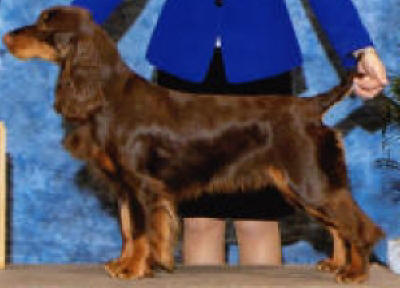 Greta